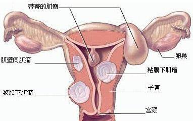 第496页
