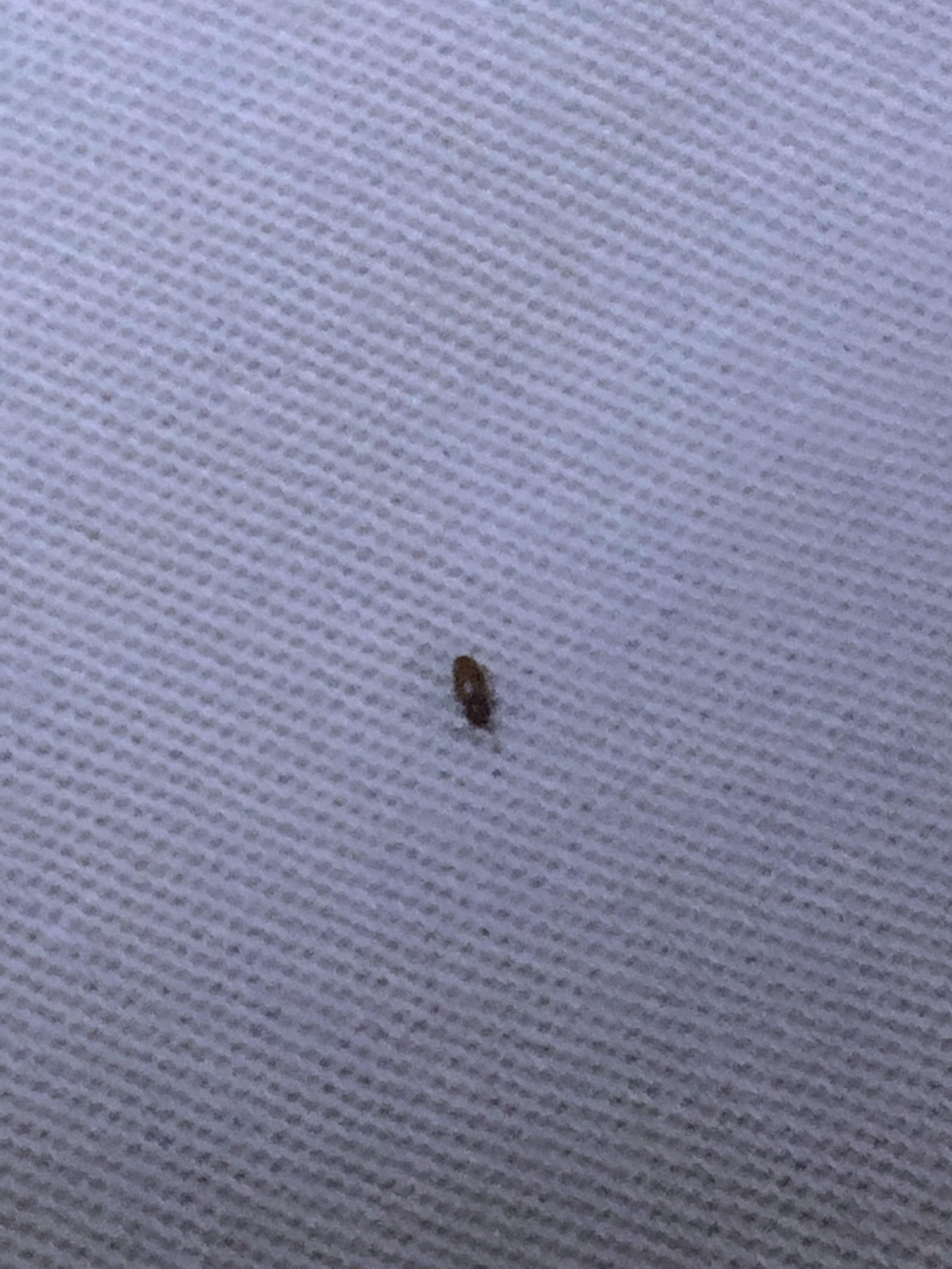娱乐生活 第76页