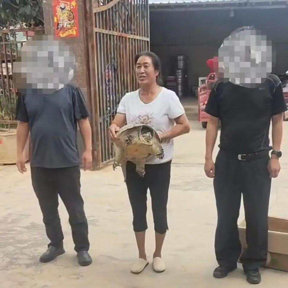 娱乐生活 第63页