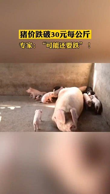 港澳新闻 第58页
